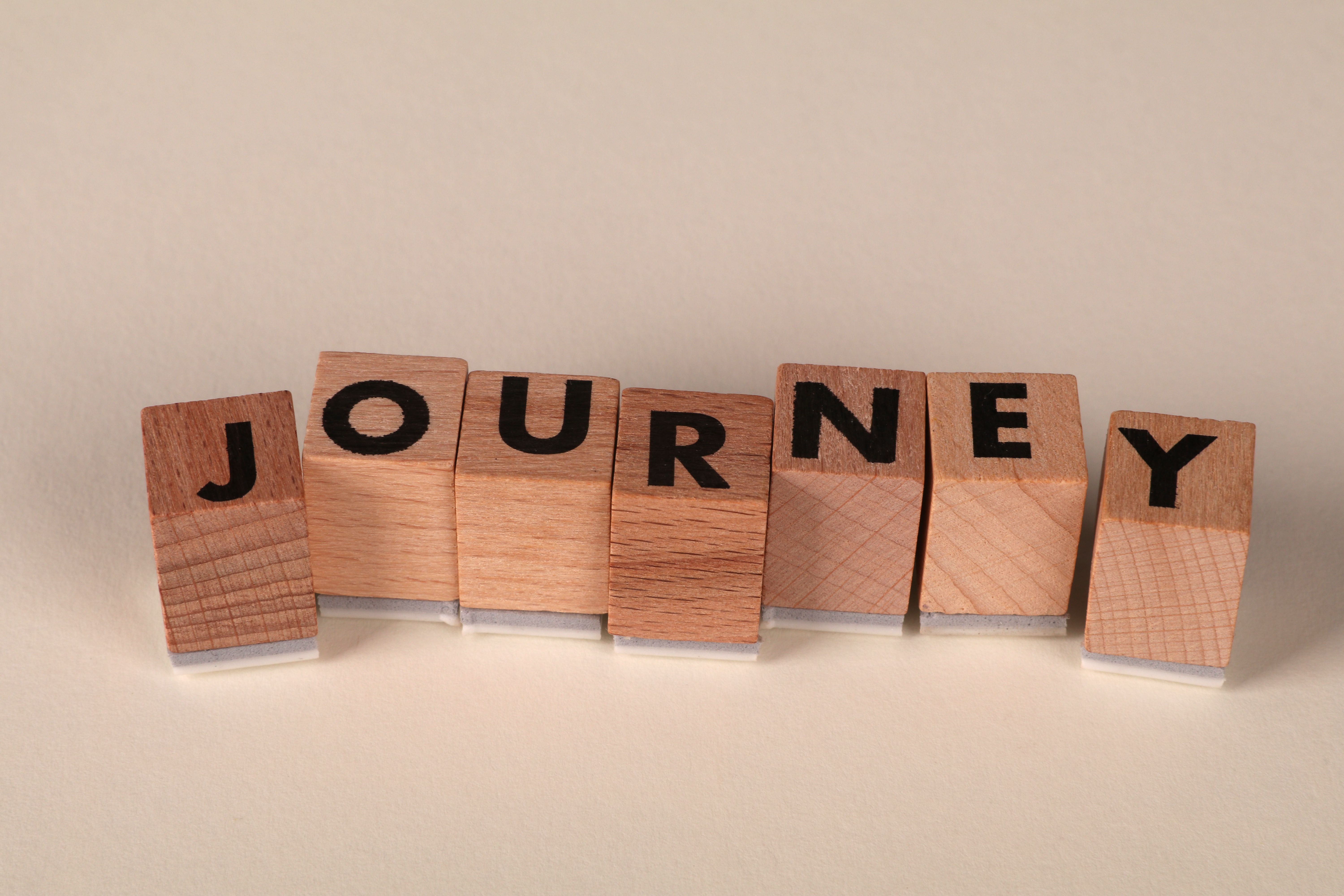 Career Journey